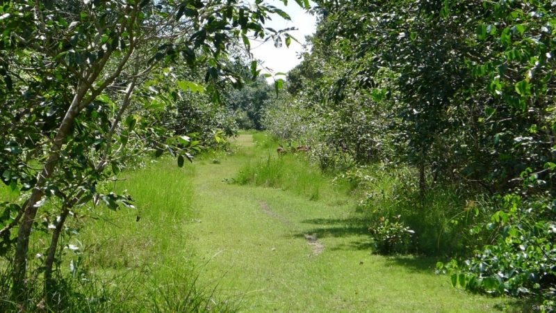 Клеенка из Бангладеш или кристально чистый Бангладеш (Сентябрь 2014 года)