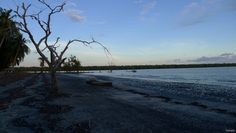 Клеенка из Бангладеш или кристально чистый Бангладеш (Сентябрь 2014 года)