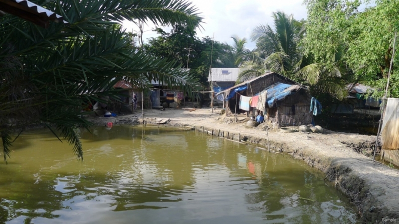 Клеенка из Бангладеш или кристально чистый Бангладеш (Сентябрь 2014 года)