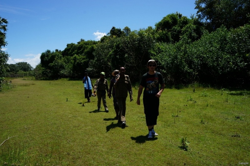 Клеенка из Бангладеш или кристально чистый Бангладеш (Сентябрь 2014 года)