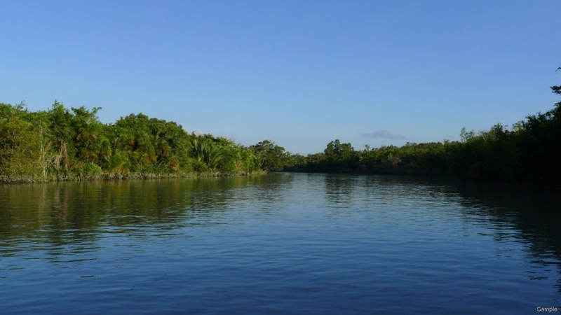 Клеенка из Бангладеш или кристально чистый Бангладеш (Сентябрь 2014 года)