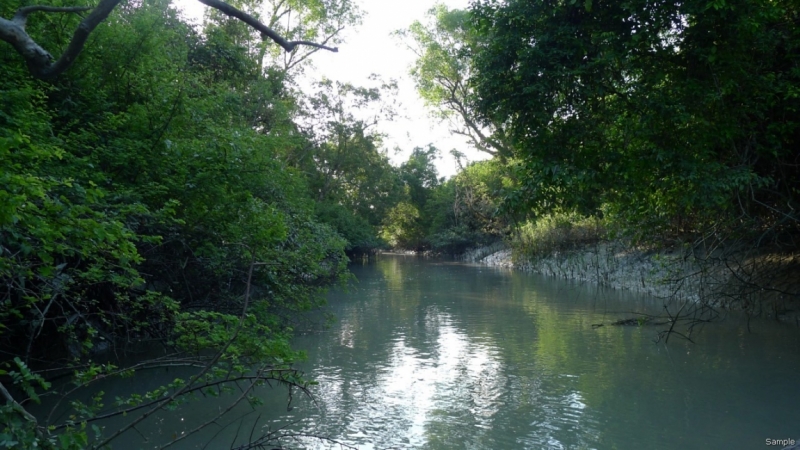 Клеенка из Бангладеш или кристально чистый Бангладеш (Сентябрь 2014 года)