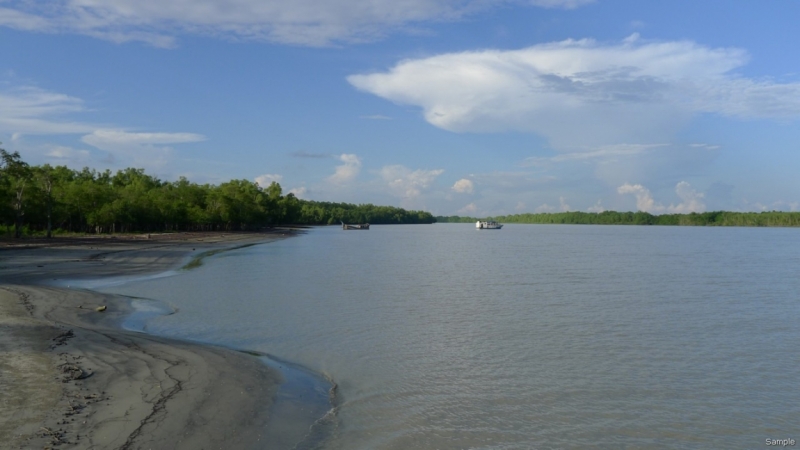 Клеенка из Бангладеш или кристально чистый Бангладеш (Сентябрь 2014 года)