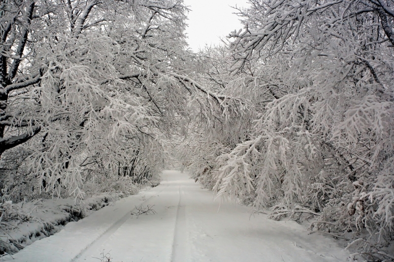 Дороги, тропы: куда они нас ведут - тут фотоответ