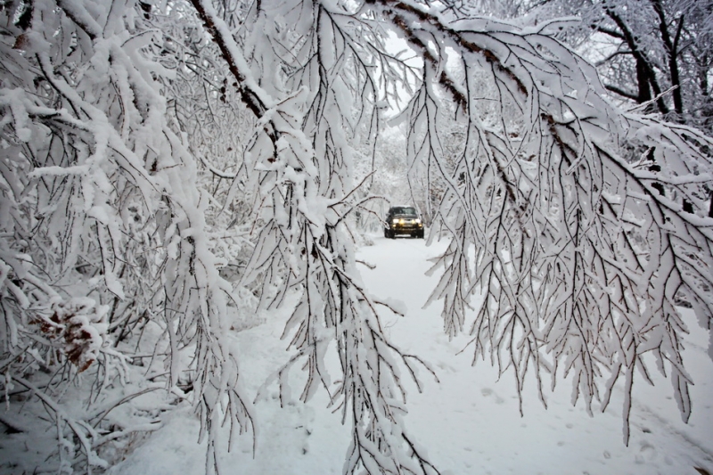 Дороги, тропы: куда они нас ведут - тут фотоответ