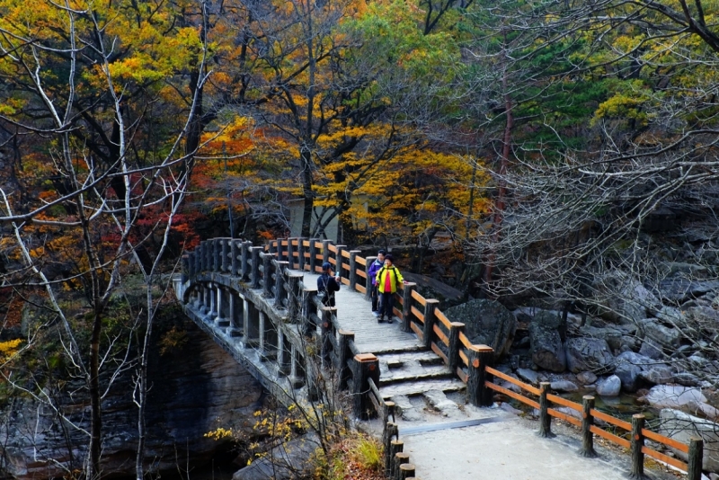 Река Ханган: мост с позирующими корейцами