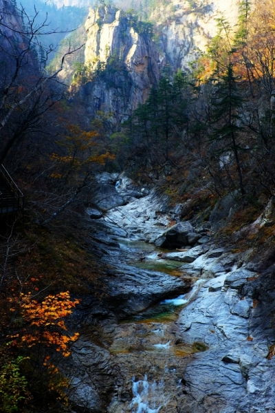 Выше в горы, осенних листьев меньше :(