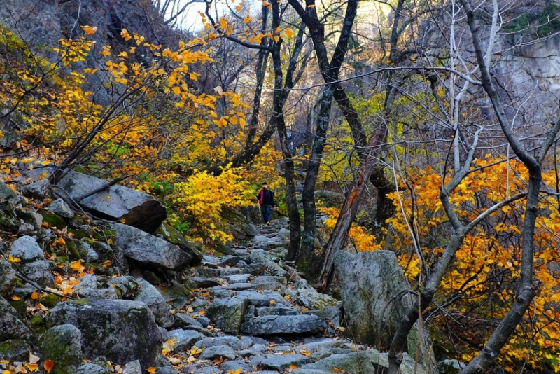 Последние листья на пути к вершинам Сораксан