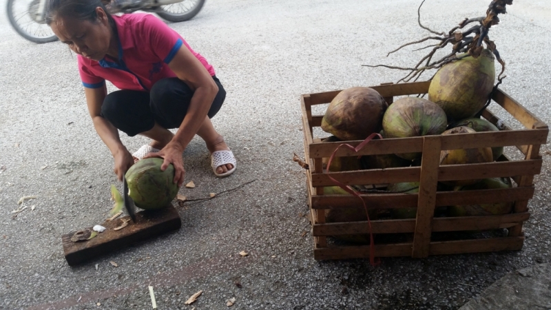 Вьетнам. Ханой, Нинь Бинь, Халонг на ноябрьские праздники 2014(много фото).