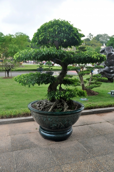 Вьетнам. Ханой, Нинь Бинь, Халонг на ноябрьские праздники 2014(много фото).