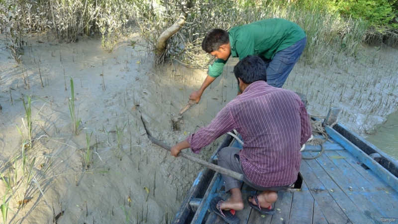 Клеенка из Бангладеш или кристально чистый Бангладеш (Сентябрь 2014 года)