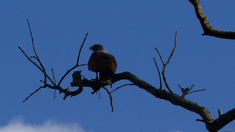 Клеенка из Бангладеш или кристально чистый Бангладеш (Сентябрь 2014 года)