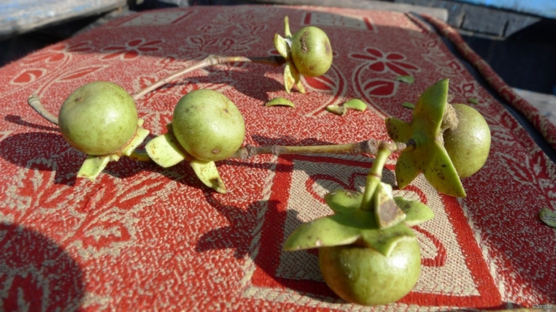 Клеенка из Бангладеш или кристально чистый Бангладеш (Сентябрь 2014 года)