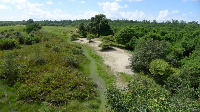 Клеенка из Бангладеш или кристально чистый Бангладеш (Сентябрь 2014 года)