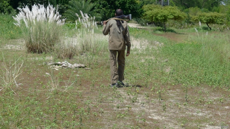 Клеенка из Бангладеш или кристально чистый Бангладеш (Сентябрь 2014 года)