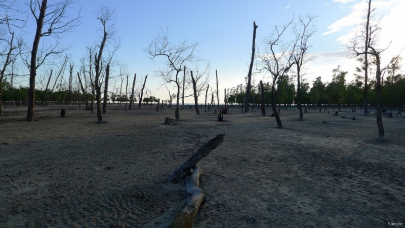 Клеенка из Бангладеш или кристально чистый Бангладеш (Сентябрь 2014 года)