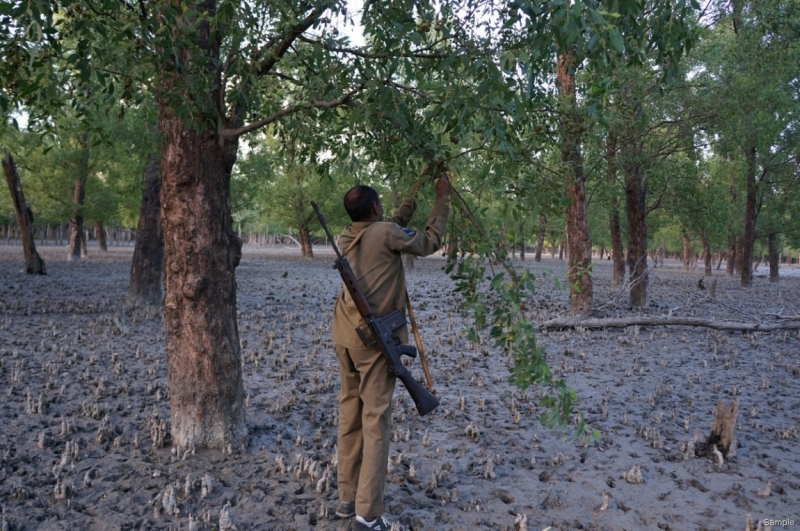 Клеенка из Бангладеш или кристально чистый Бангладеш (Сентябрь 2014 года)