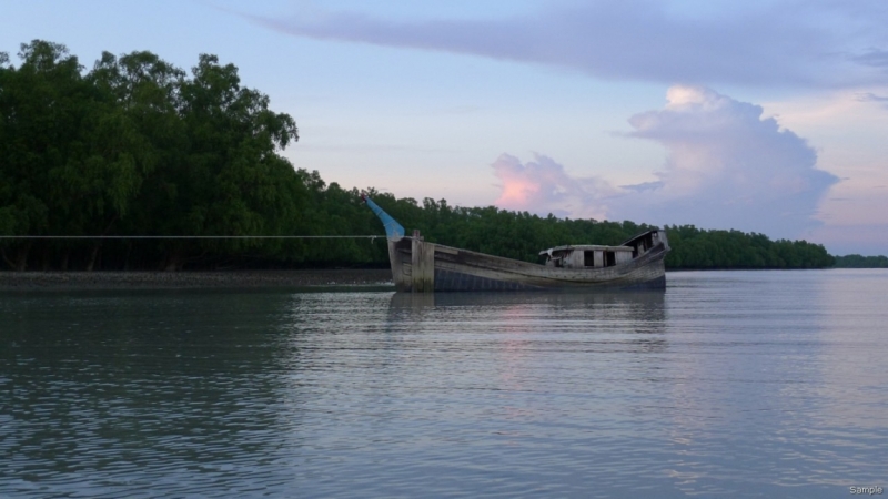 Клеенка из Бангладеш или кристально чистый Бангладеш (Сентябрь 2014 года)