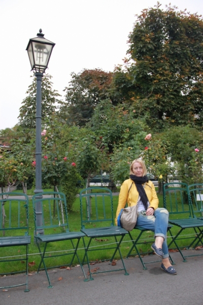 11 альпийских виршей