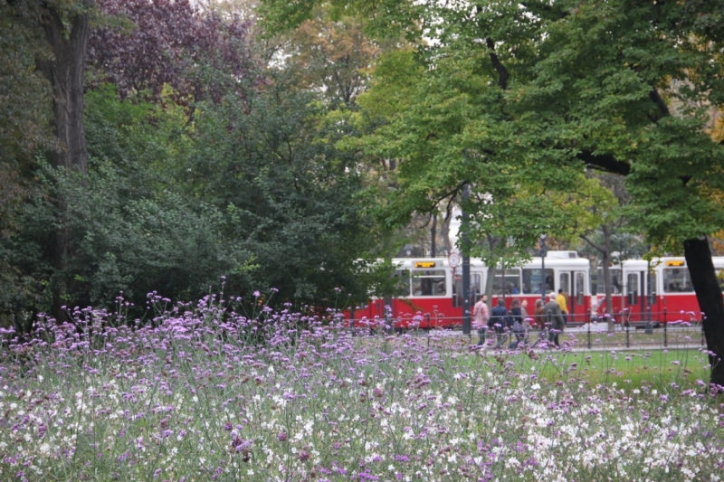 11 альпийских виршей