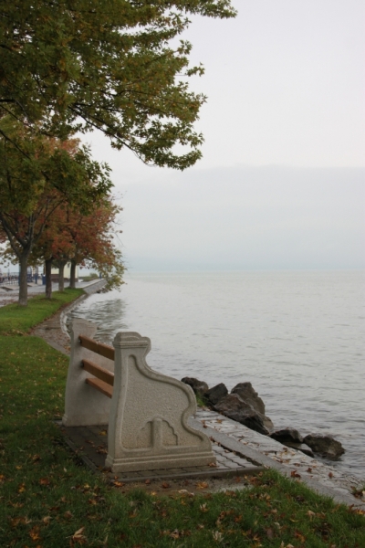 11 альпийских виршей