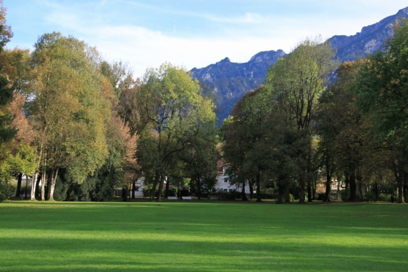 11 альпийских виршей