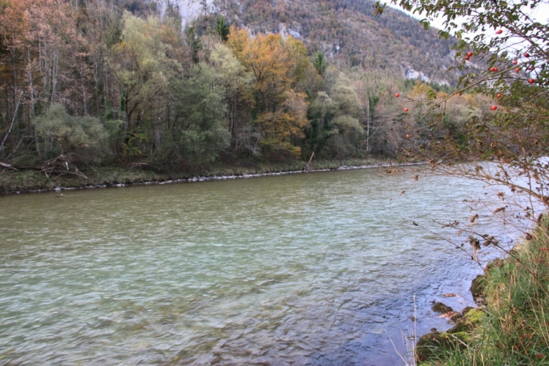 11 альпийских виршей