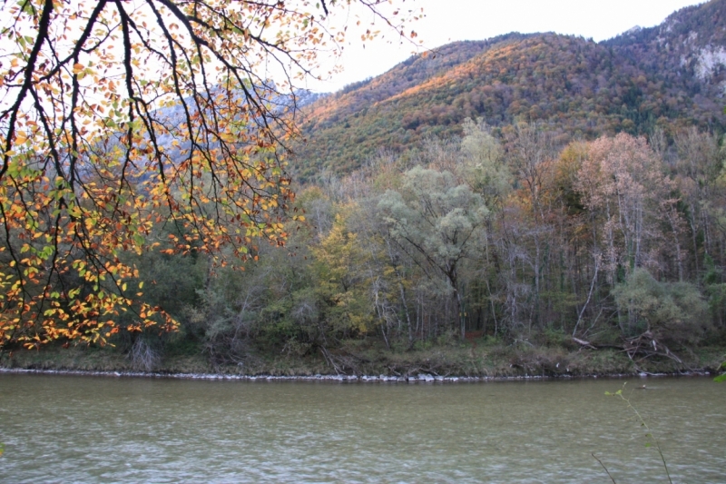 11 альпийских виршей