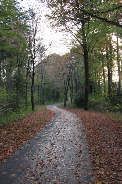 11 альпийских виршей