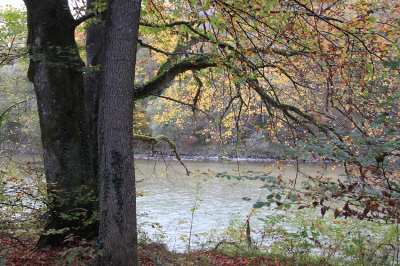 11 альпийских виршей