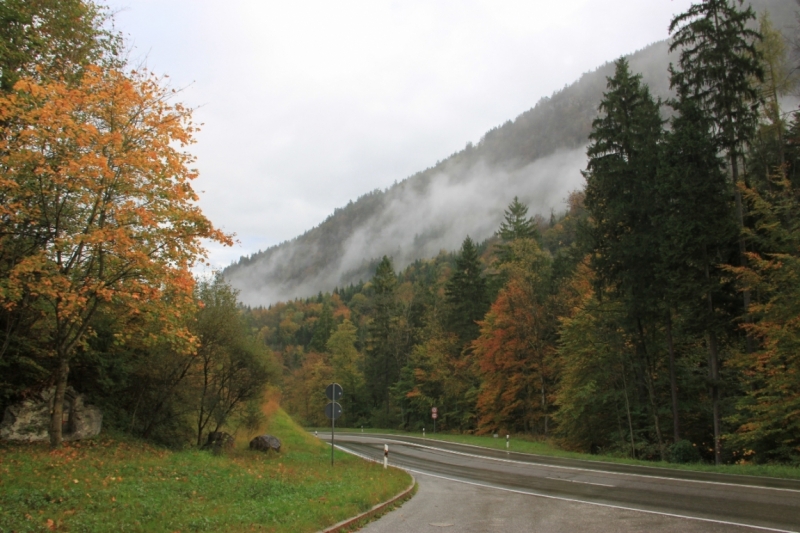 11 альпийских виршей