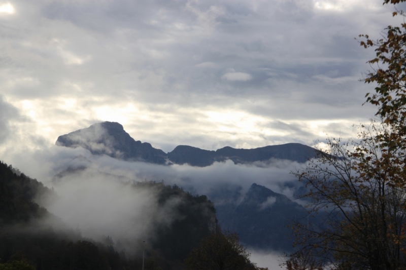 11 альпийских виршей