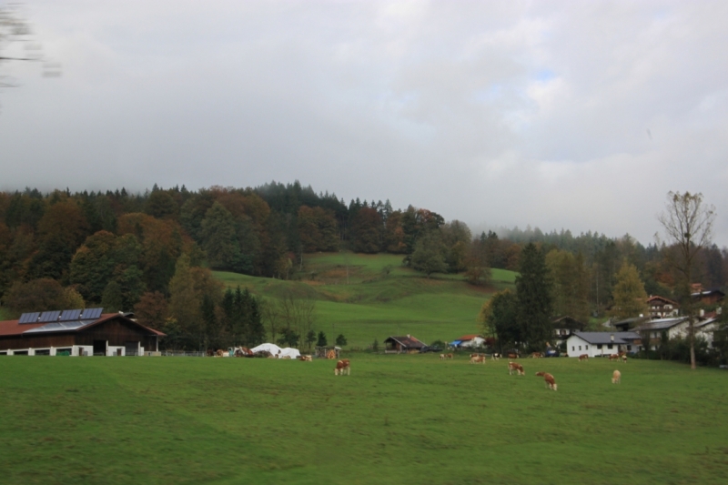 11 альпийских виршей