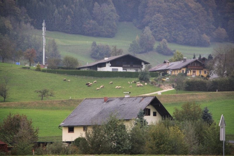 11 альпийских виршей