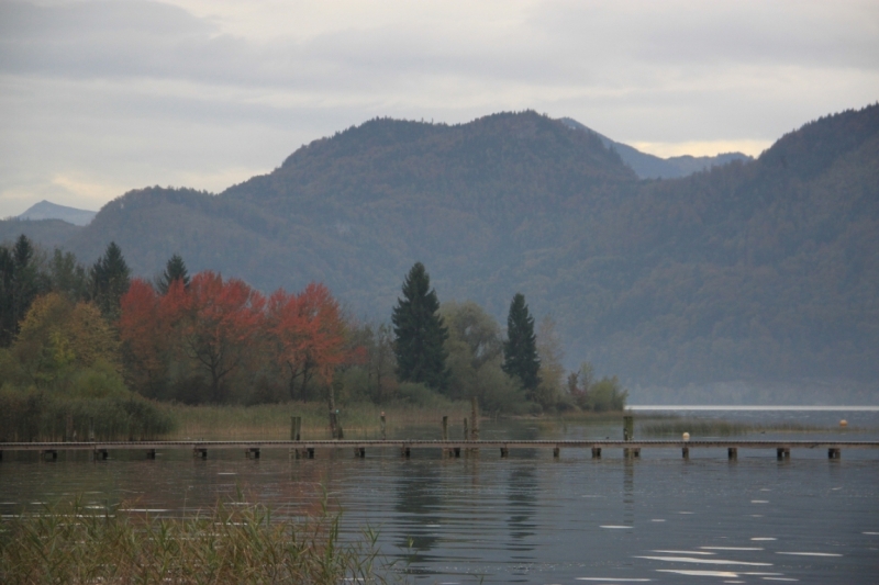 11 альпийских виршей