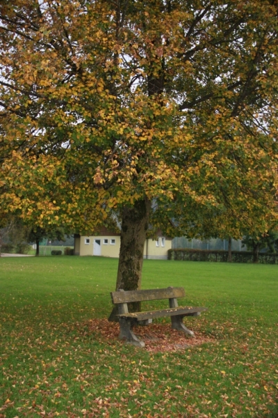 11 альпийских виршей