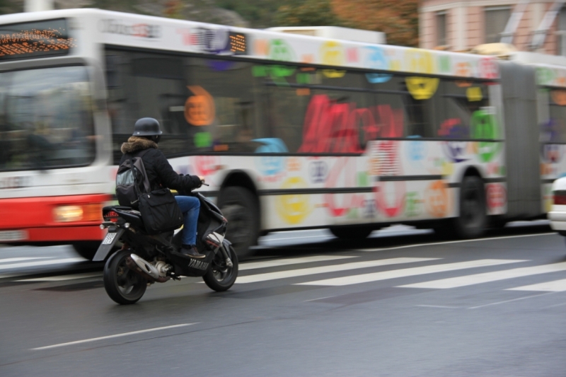 11 альпийских виршей