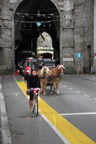 11 альпийских виршей