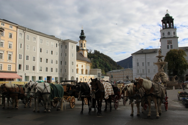 11 альпийских виршей