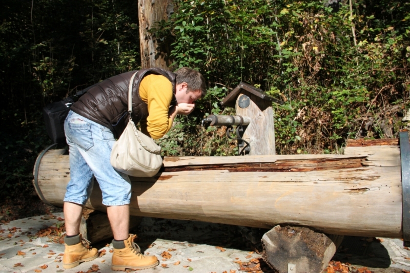 11 альпийских виршей