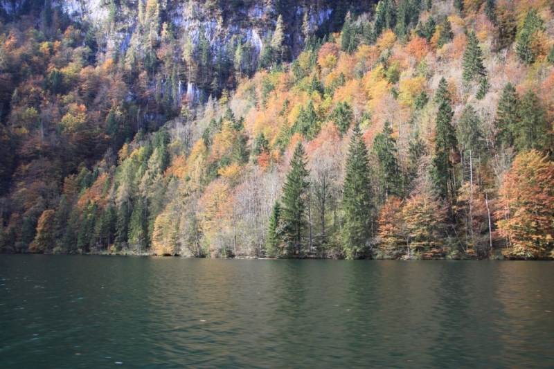 11 альпийских виршей