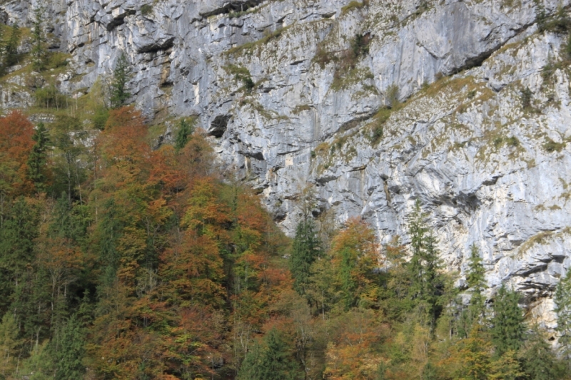 11 альпийских виршей