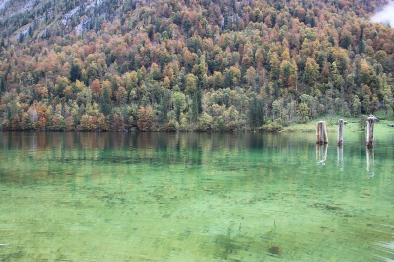 11 альпийских виршей