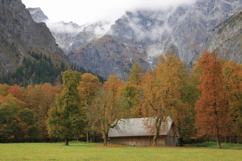 11 альпийских виршей
