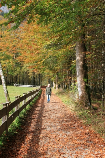 11 альпийских виршей