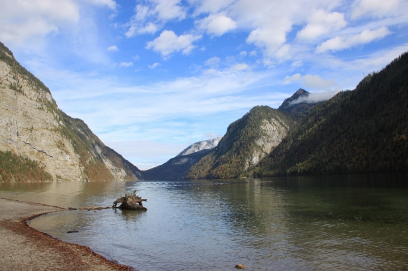 11 альпийских виршей