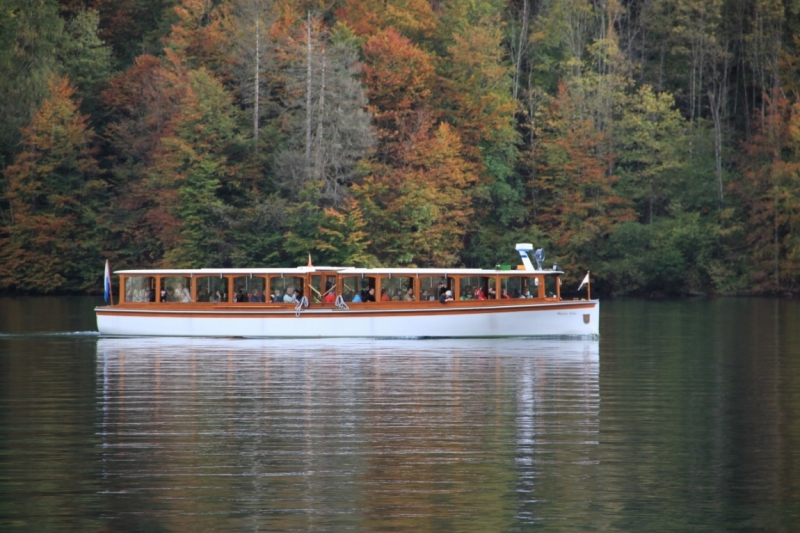 11 альпийских виршей