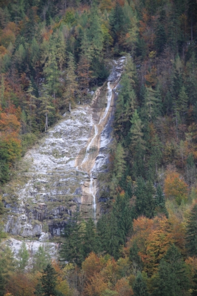 11 альпийских виршей