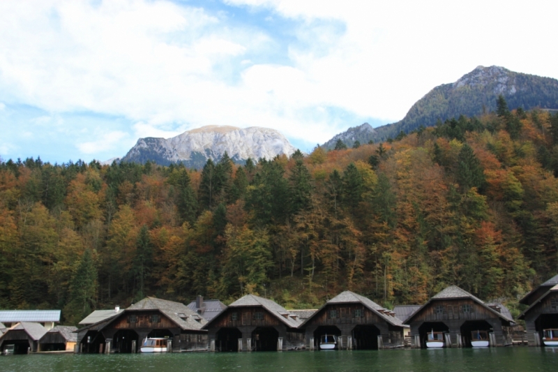 11 альпийских виршей