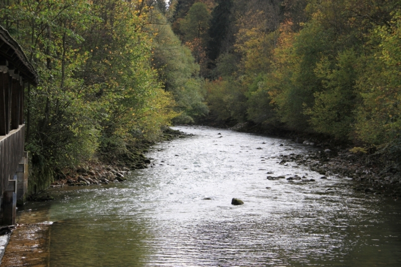 11 альпийских виршей